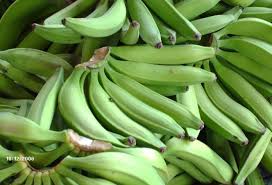 Platano